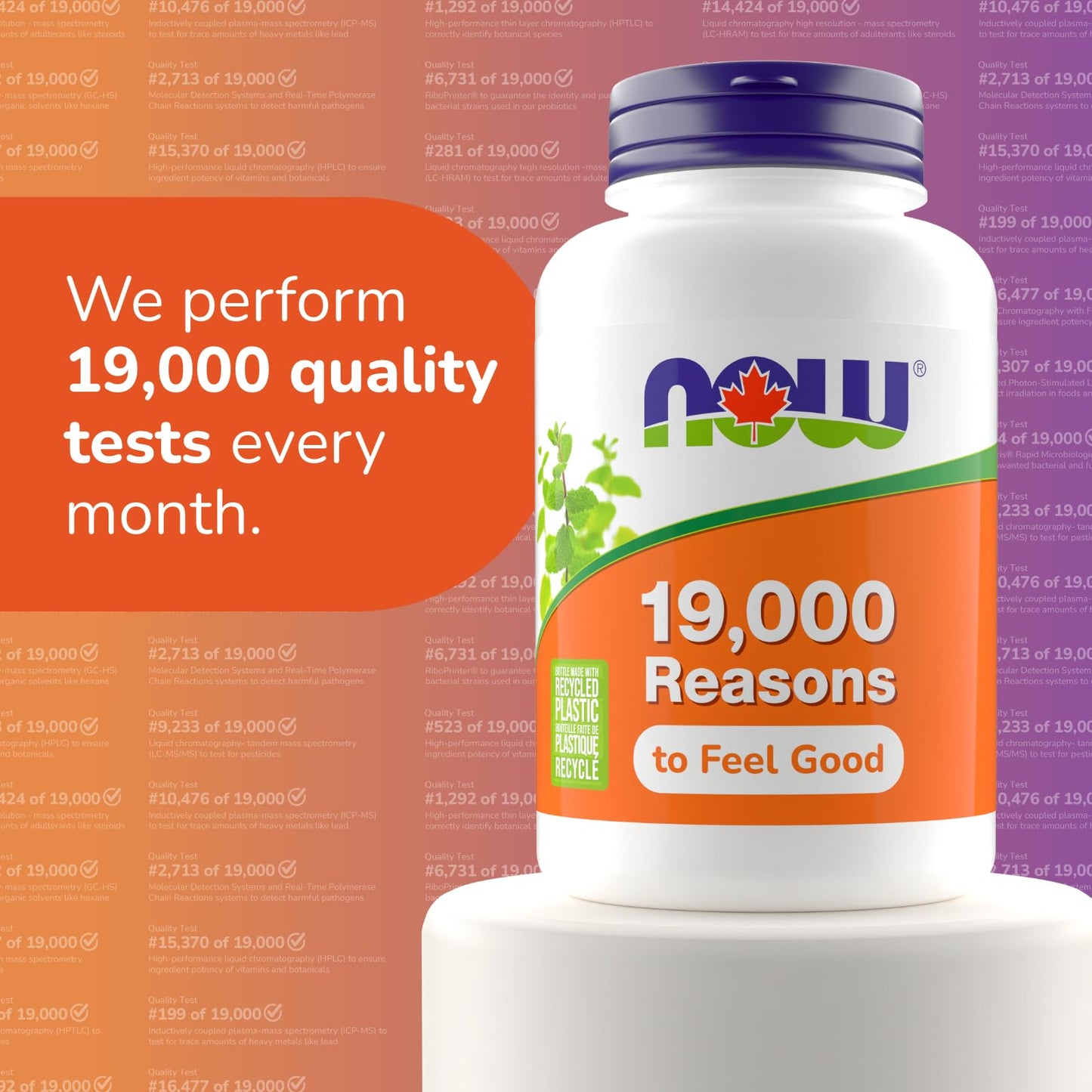 Now Glucosamine MSM