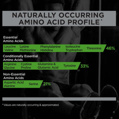Rule 1 R1 Mass Gainer Chocolate Fudge