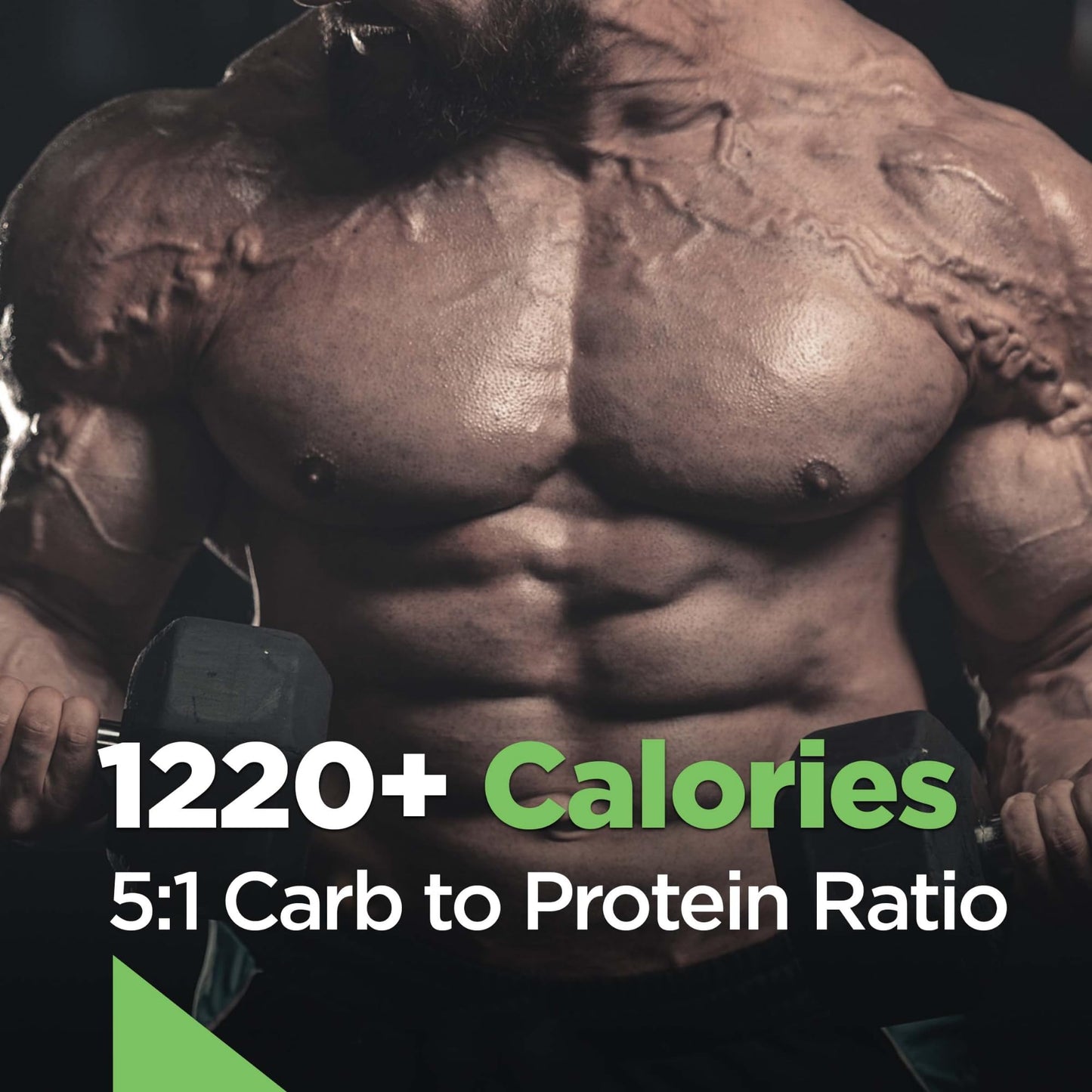Rule 1 R1 Mass Gainer Chocolate Fudge
