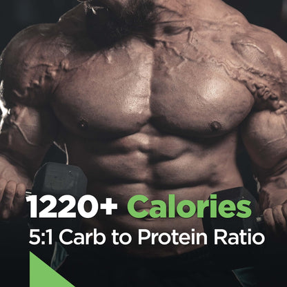 Rule 1 R1 Mass Gainer Chocolate Fudge