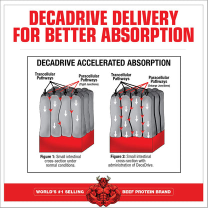 MuscleMeds Amino Decanate Watermelon