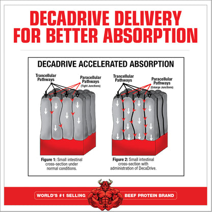 MuscleMeds Amino Decanate Citrus Lime